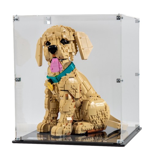 Acrylic display case - ,