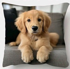 1 X Golden Retriever Dog