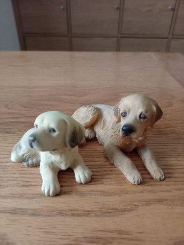 Pair sitting golden - pair,