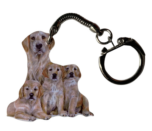 Golden retriever keyring - golden,