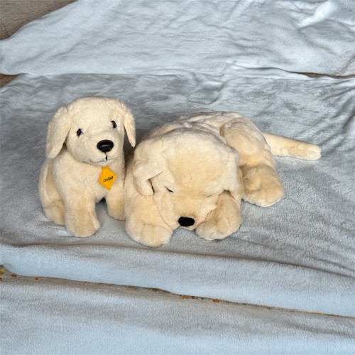 Andrex puppy nightie pj - /,