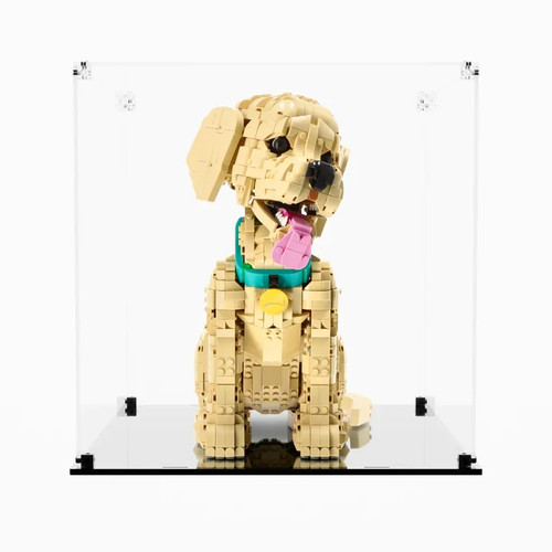 Uniquedisplay display case for - display,