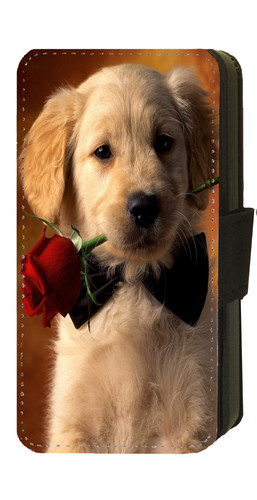 Golden retriever puppy for - golden,