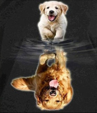 DIY Paint by Numbers for