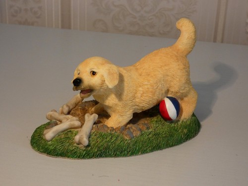 Golden retriever puppy - golden,