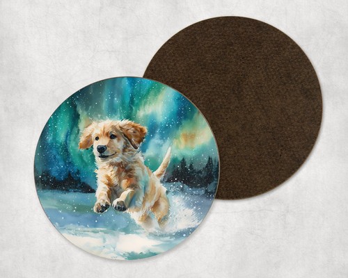 Golden retriever puppy winter - golden,