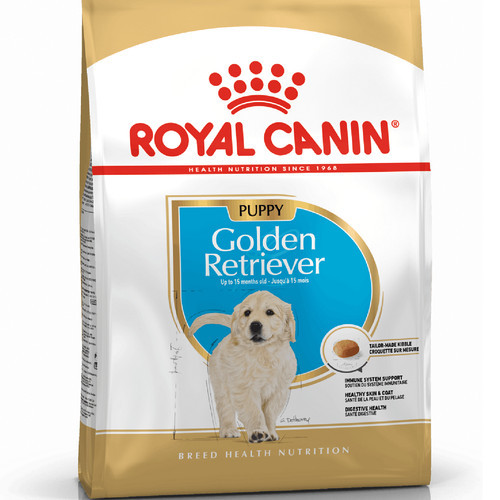 Golden retriever puppy 3kg - retriever,
