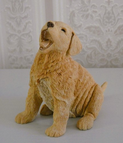 Golden retriever puppy - golden,
