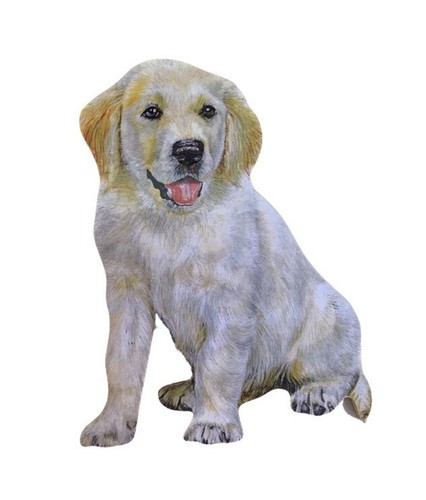 Golden retriever puppy magnet - retriever,