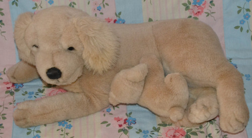 Vintage golden retriever - vintage,