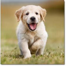 Doodlecards Happy Birthday