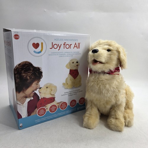 Joy for all - joy,