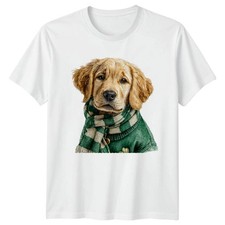 Golden Retriever Puppy St