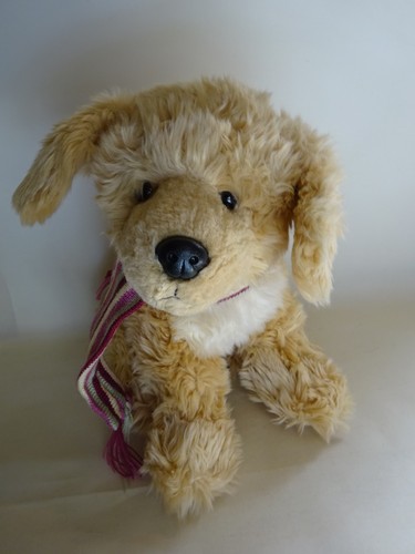Golden retriever puppy dog - puppy,